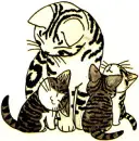 Cat Family