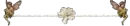 Angel Divider