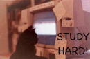 study hard!