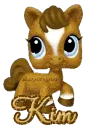 littlest petshop pony kim