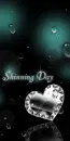 SHINING DAY