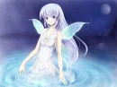 Fairy