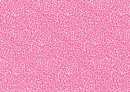 pink leopard