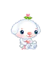 LIL CUTE PUPPY