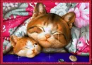 cutee!!
