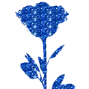 blue rose