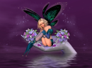 Fairy
