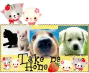 take me home