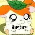 Hamtaro Avatar