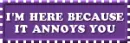 i'm here because it annoys you