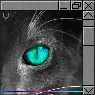 cat eye