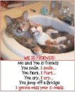 we is friends