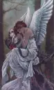 Angel Wings