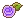 violet rose