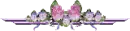 pink flower divider