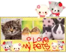 i love my pets