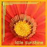 orange flower