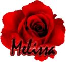 Melissa Red Rose