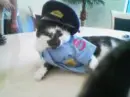 My puppy
