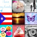 collage
