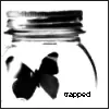Trapped