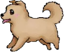 doggy