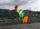 gummi art