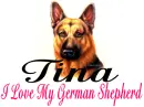 Tina - German Shepherd