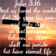 John 3:16