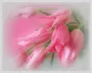 pink flowers with glitter