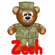 Military Soldier Teddy Bear (animated)- Zech