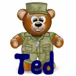 Military Soldier Teddy Bear (animated)- Ted