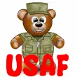 Military Soldier Teddy Bear- USAF