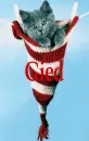 Cat-Gied