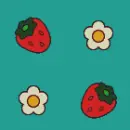 daisy strawberry 01