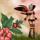 Fairy