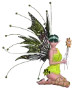 Fairy 