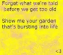 Chasing Cars Lyrics