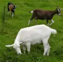 I want to be different!