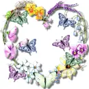 Butterflys heart