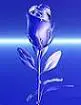 Blue-Silver Rose