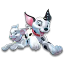 dogs