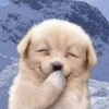 cute