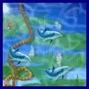 swimming dolphins