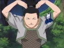 shika the teapot