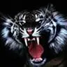 rawr!