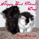 Happy Best Friends Day!!