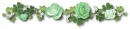 green flowers - div
