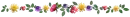 colorful flowers - div