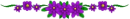 purple flowers - div